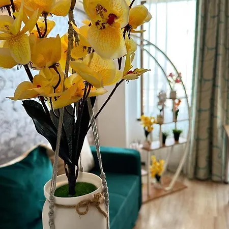 Aqua Vista Fratelli - Vedere Top La Mare Si Lac - Summerland *